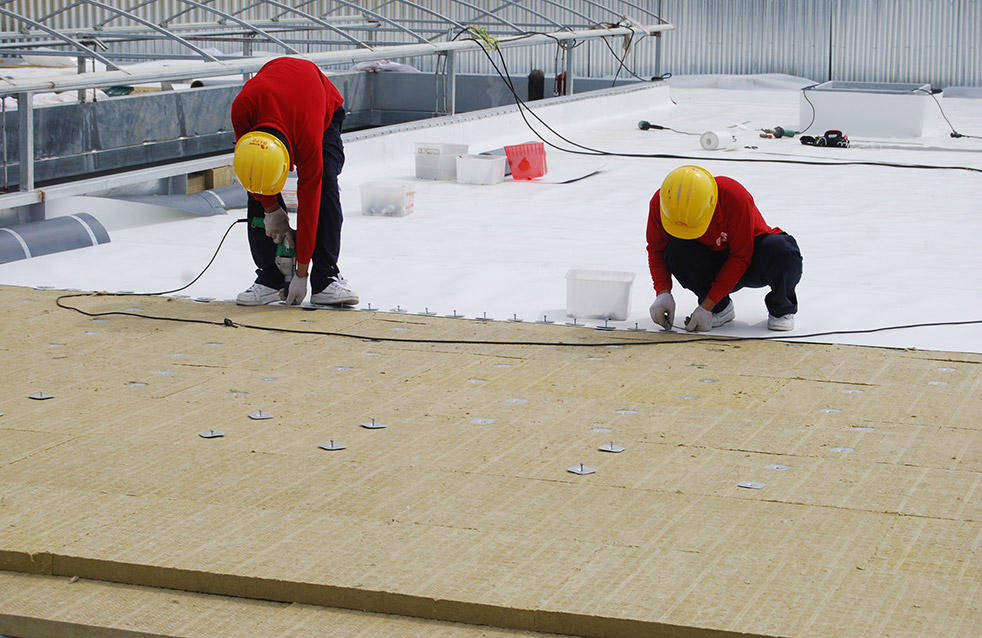 pg电子模拟器(中国游)官方网站