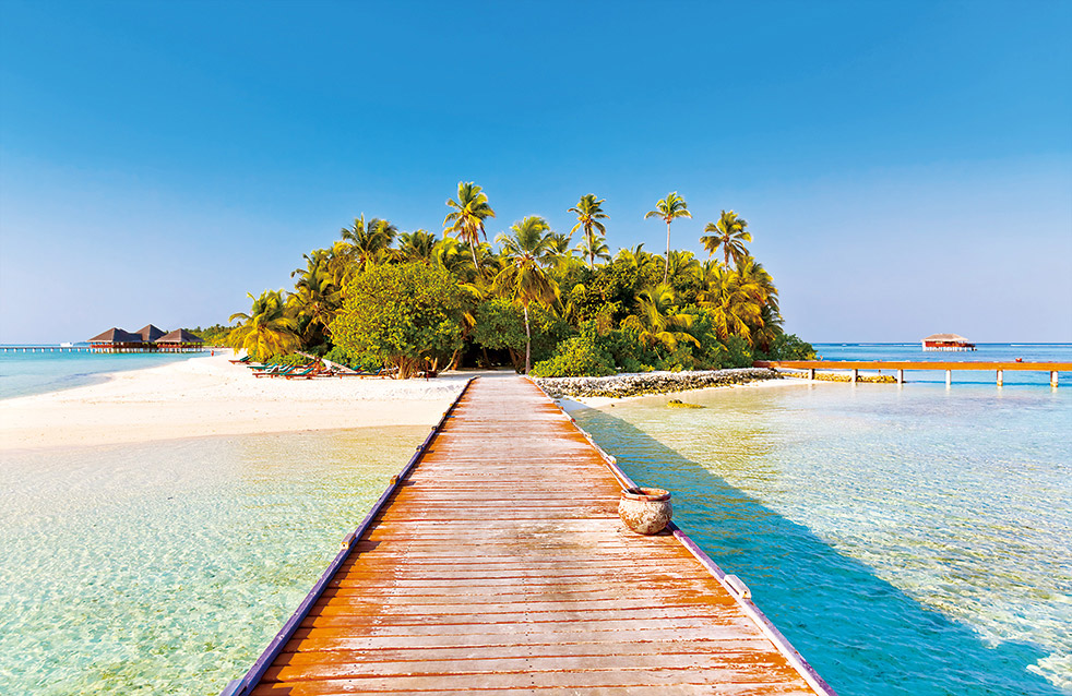 pg电子模拟器(中国游)官方网站