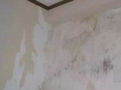 pg电子模拟器(中国游)官方网站