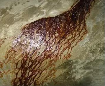 pg电子模拟器(中国游)官方网站