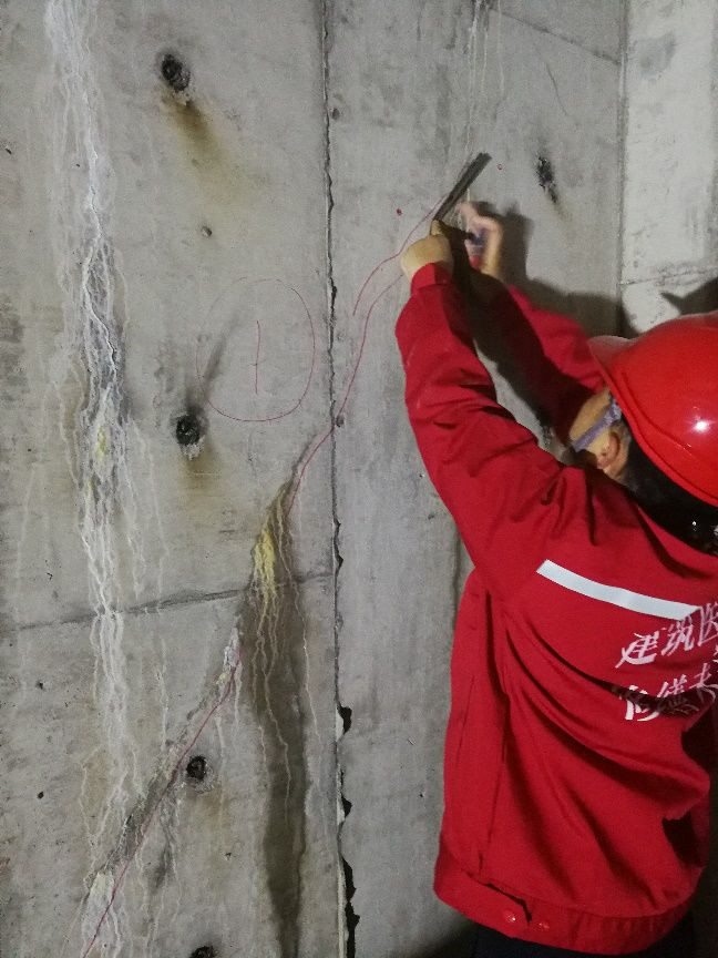 pg电子模拟器(中国游)官方网站