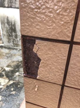 pg电子模拟器(中国游)官方网站