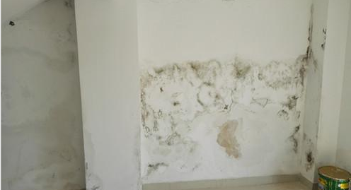 pg电子模拟器(中国游)官方网站