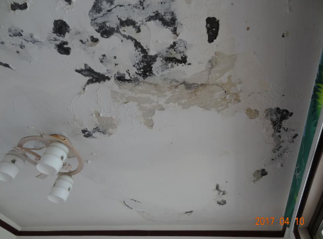 pg电子模拟器(中国游)官方网站