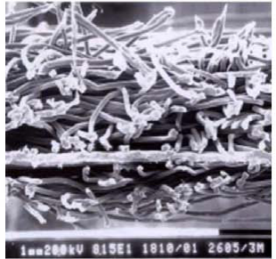 pg电子模拟器(中国游)官方网站