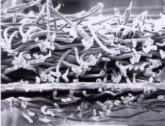 pg电子模拟器(中国游)官方网站