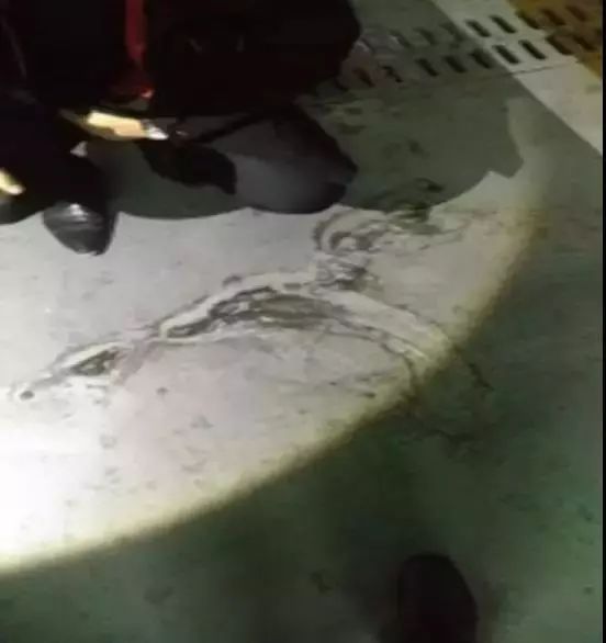 pg电子模拟器(中国游)官方网站