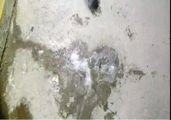 pg电子模拟器(中国游)官方网站