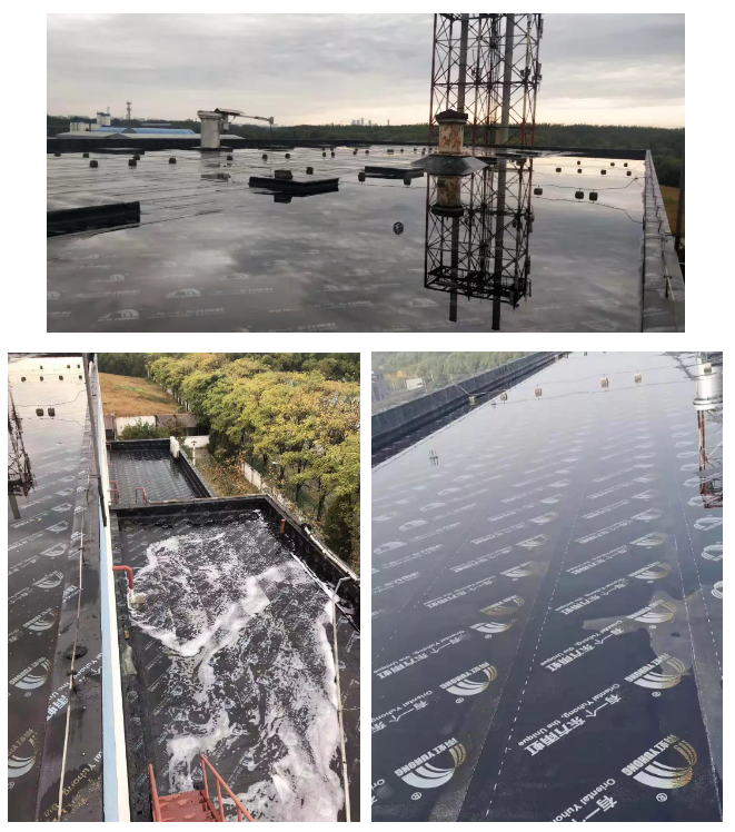 pg电子模拟器(中国游)官方网站