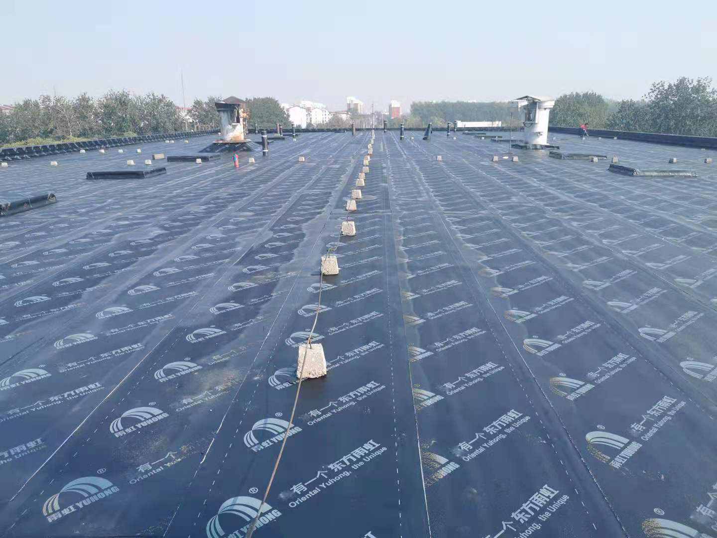 pg电子模拟器(中国游)官方网站