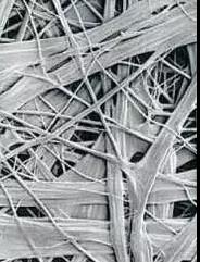 pg电子模拟器(中国游)官方网站