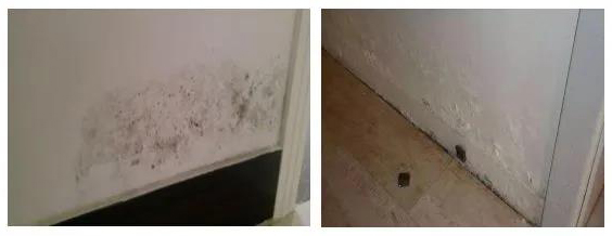 pg电子模拟器(中国游)官方网站