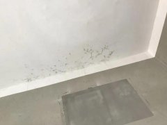 pg电子模拟器(中国游)官方网站