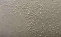 pg电子模拟器(中国游)官方网站