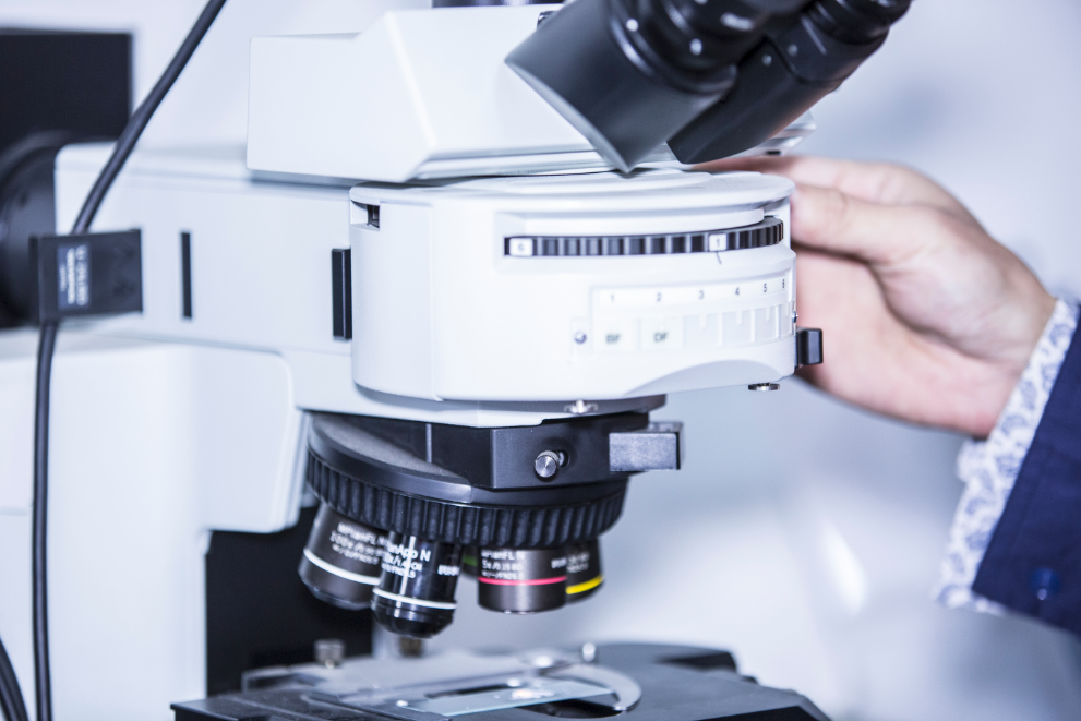 pg电子模拟器(中国游)官方网站