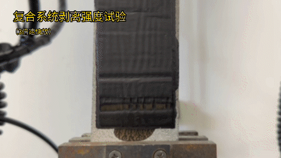 pg电子模拟器(中国游)官方网站